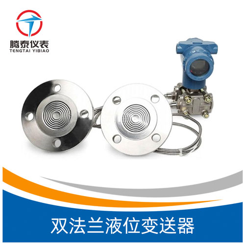 雙法蘭液位變送器 雙法蘭液位變送器